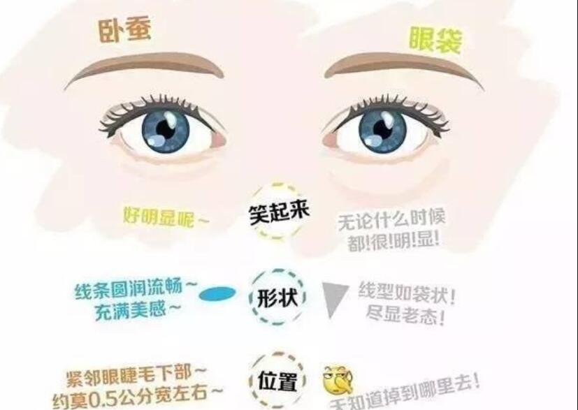 眼袋還是臥蠶，快來學(xué)辨別的方法