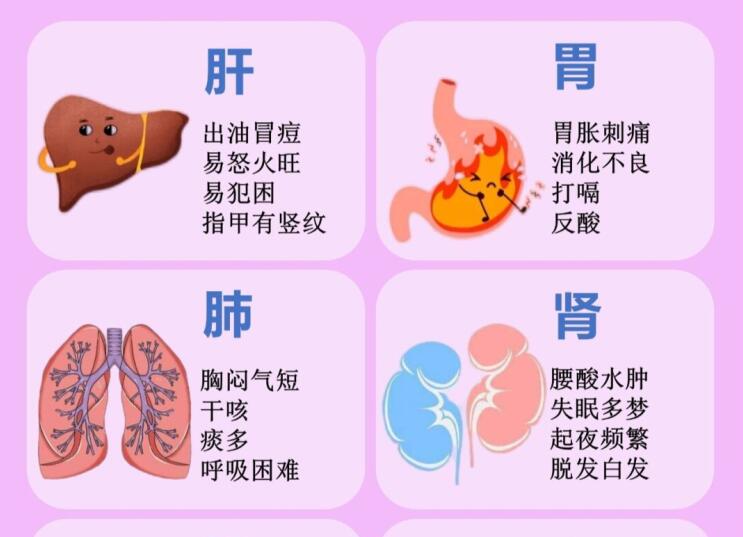 6大臟器保養(yǎng)指南，6款養(yǎng)生茶喝起來 ???