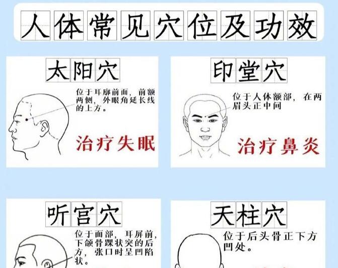 人體常見(jiàn)穴 位及功效，廣西專業(yè)正規(guī)美容學(xué)校講解