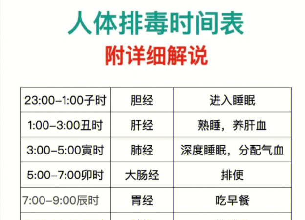 人體排毒時(shí)間表，南寧美容專(zhuān)業(yè)學(xué)校詳細(xì)解說(shuō)