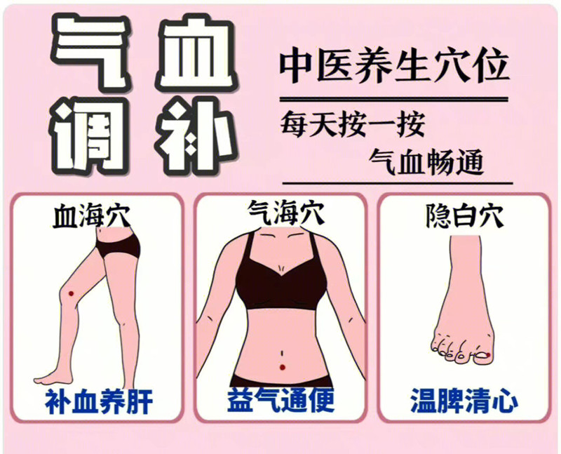 具有補(bǔ)氣血功能的穴位，南寧學(xué)美容中醫(yī)