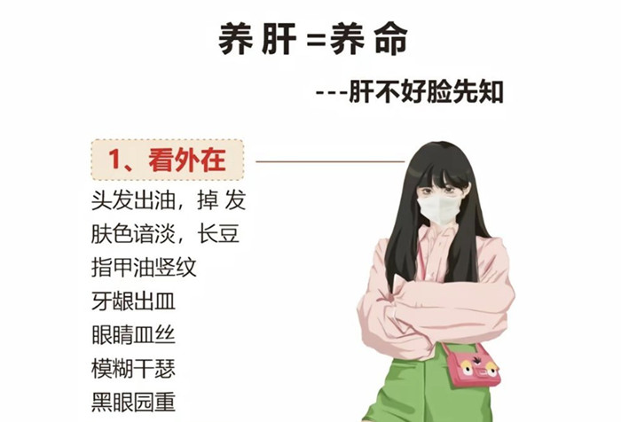 南寧學健康美容：如何正確養(yǎng)肝？