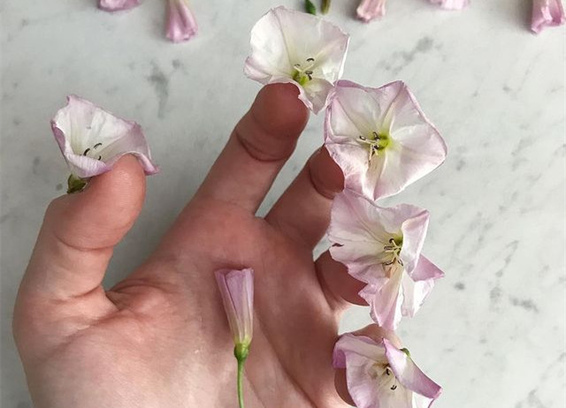 植物藝術(shù)美甲，南寧美甲造型設(shè)計(jì)培訓(xùn)分享