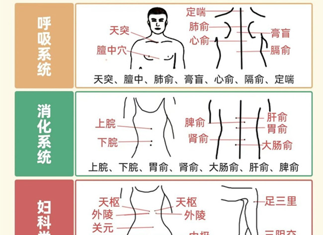 不同部位三伏貼艾灸作用，廣西美體中醫(yī)培訓(xùn)